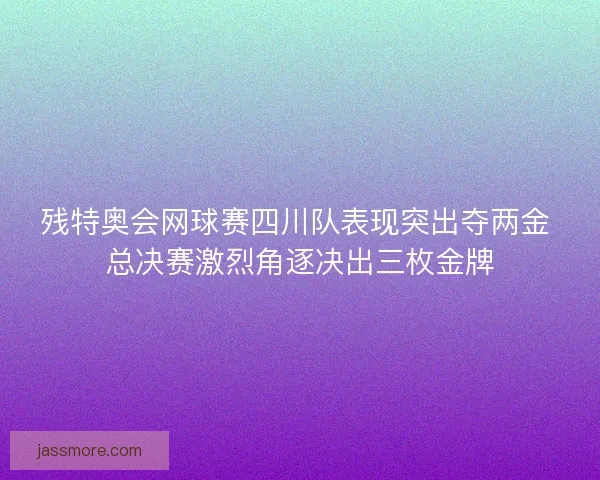 残特奥会网球赛四川队表现突出夺两金 总决赛激烈角逐决出三枚金牌