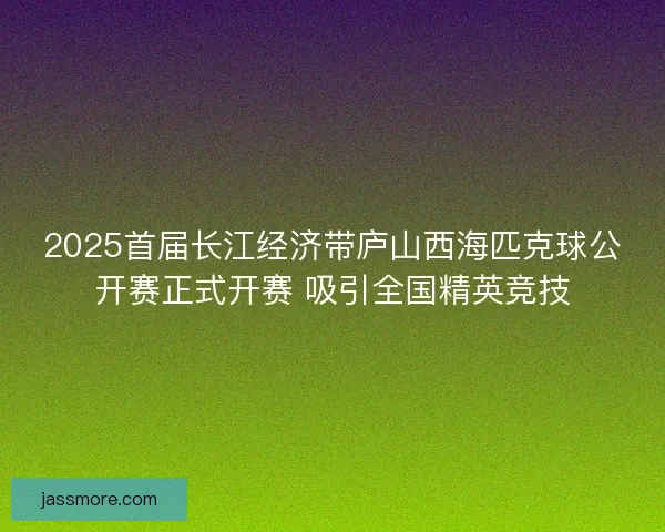 2025首届长江经济带庐山西海匹克球公开赛正式开赛 吸引全国精英竞技