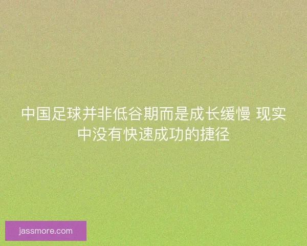 中国足球并非低谷期而是成长缓慢 现实中没有快速成功的捷径